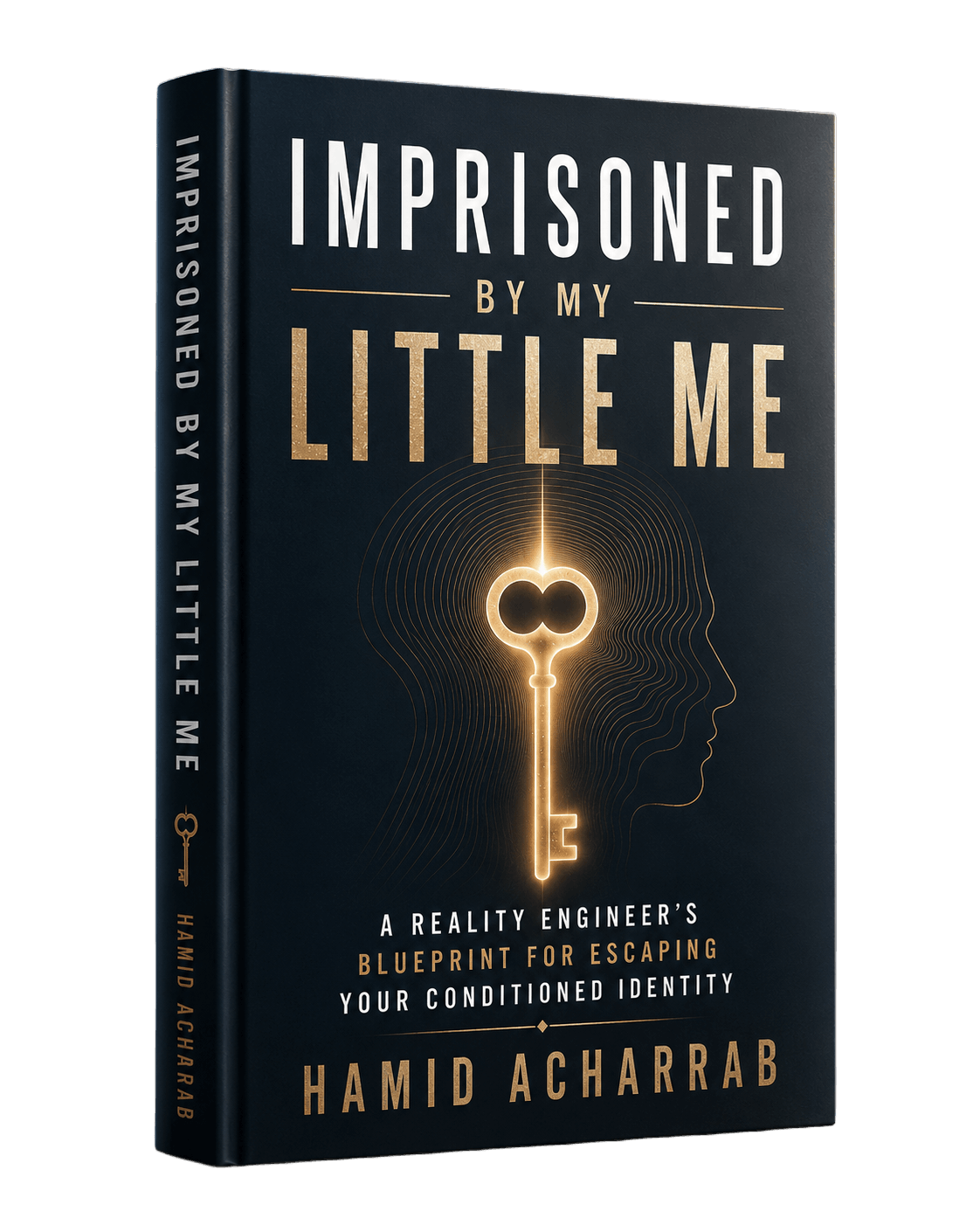 Imprisoned paperback